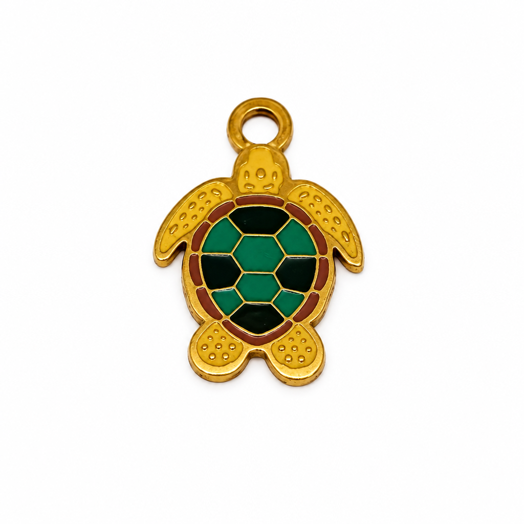 Tortue avec retouche légère